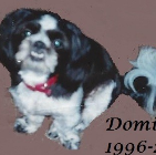DOMINO EDWARDS 1996-2015